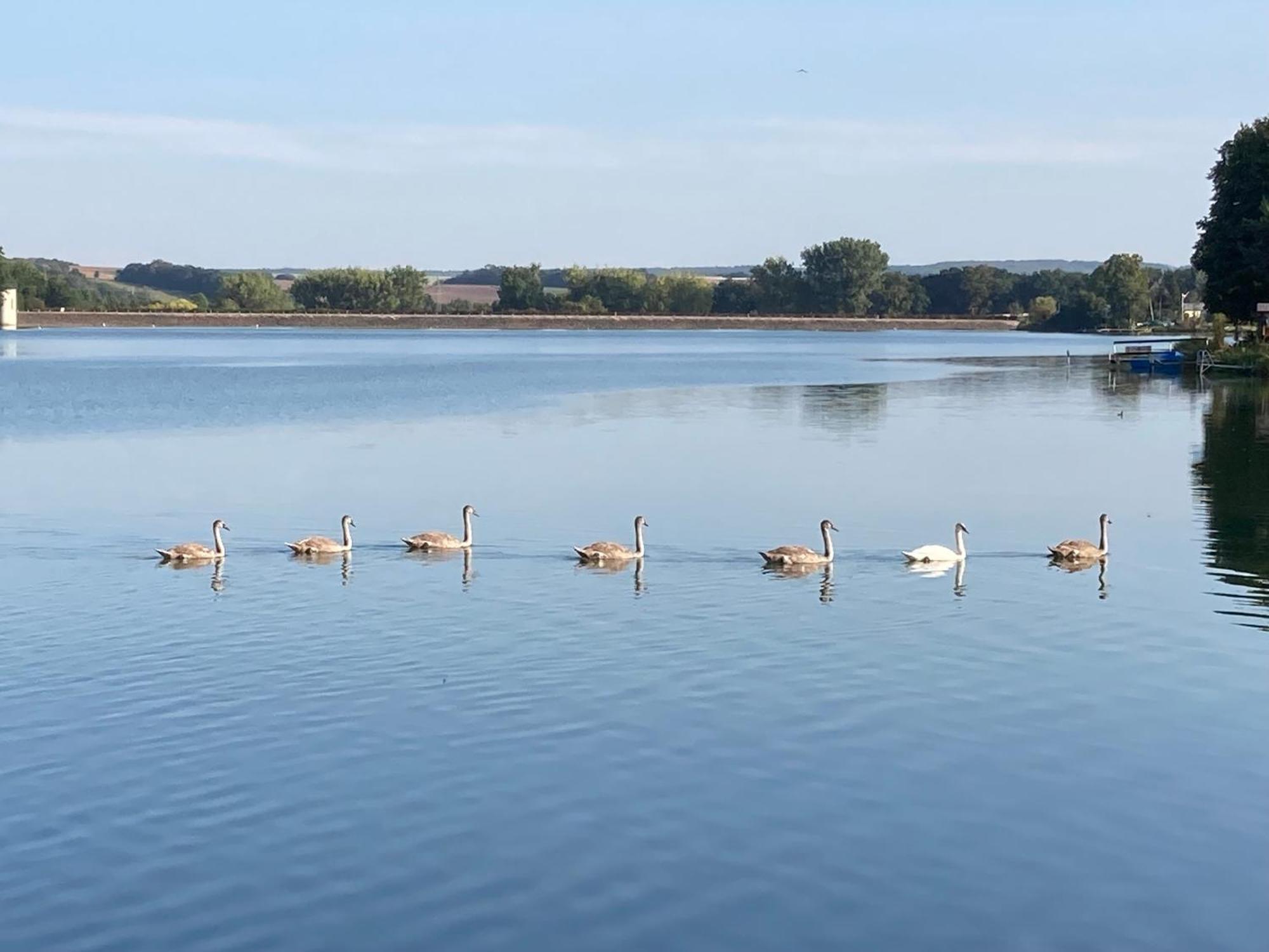 Campingfass Mit Panoramaterrasse Langenbernsdorf Экстерьер фото